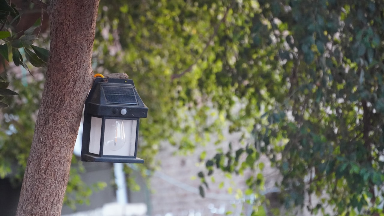 Solární lampy nasvěcující zahradu za soumraku